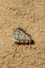 Load image into Gallery viewer, Flea Cone Claw Clip