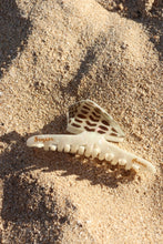 Load image into Gallery viewer, Hebrew Claw Clip
