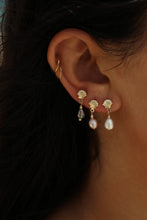 Load image into Gallery viewer, Ocean Charmed Duet Earrings- Scallop Shell