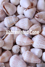 Load image into Gallery viewer, Abbreviated Cone Bangle