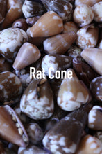 Load image into Gallery viewer, Rat Cone Bangle