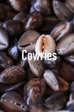 Load image into Gallery viewer, Cowrie Shell Bangle