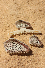 Load image into Gallery viewer, Flea Cone Claw Clip
