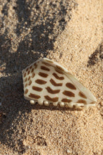 Load image into Gallery viewer, Hebrew Claw Clip
