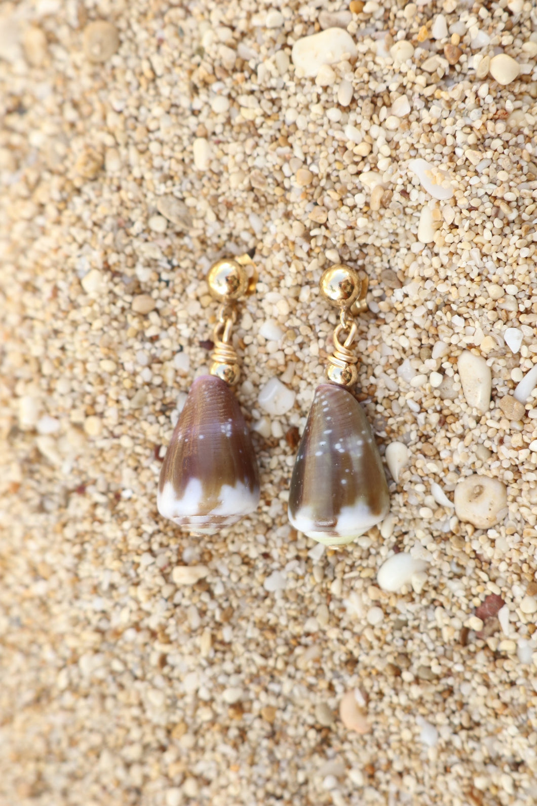 Shell Stud Earrings