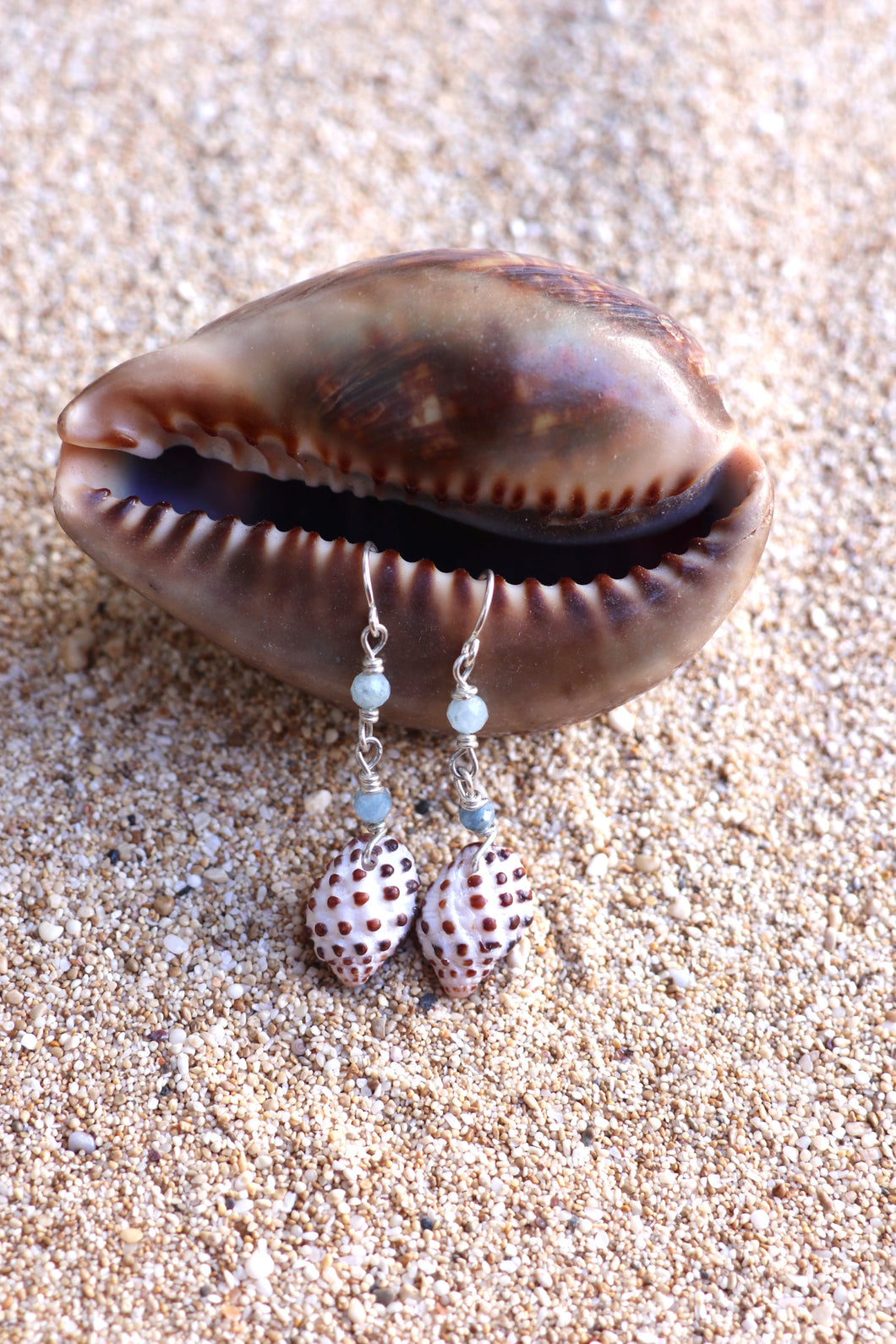 Seashell Drop Earrings - Drupe