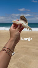 Load and play video in Gallery viewer, Hebrew Claw Clip

