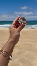 Load and play video in Gallery viewer, Mini Seashell Claw Clip Bundle
