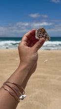 Load and play video in Gallery viewer, Mini Seashell Claw Clip Bundle

