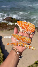 Load and play video in Gallery viewer, Miter Claw Clip
