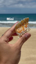Load and play video in Gallery viewer, Miter Claw Clip
