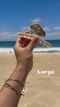Load and play video in Gallery viewer, Flea Cone Claw Clip
